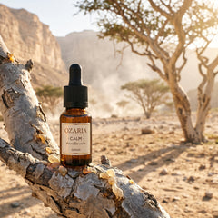 CALM Royal Hojari frankincense oil from the Dhofar Valleys of Oman at golden hour
