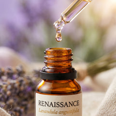 RENAISSANCE Maillette lavender oil dropper close-up — single amber drop